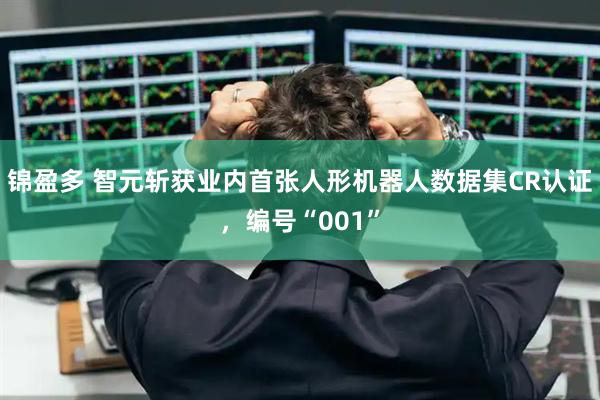 锦盈多 智元斩获业内首张人形机器人数据集CR认证，编号“001”